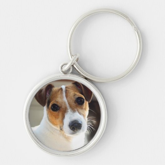 Jack Russell Keyring Sleutelhanger (Voorkant)