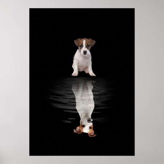 Jack Russell Love Cute Jack Russell Poster (Voorkant)