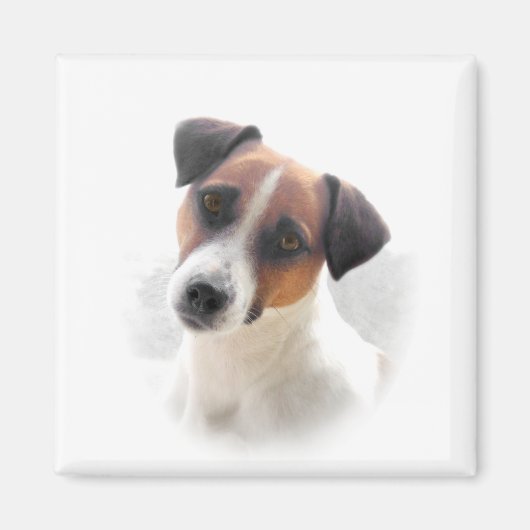 Jack Russell Magnet (Voorkant)