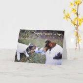 Jack Russell Moederdag card Kaart (Gele Bloem)