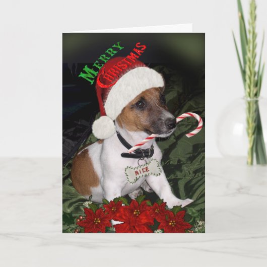 Jack Russell Naughty of leuke Kaarten (Voorkant)