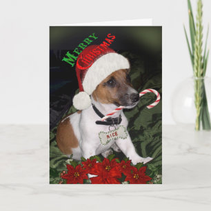 Jack Russell Naughty of leuke Kaarten