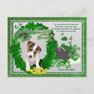 Jack Russell - Nieuwe Pup 1 St Patty's - Je hebt p Briefkaart
