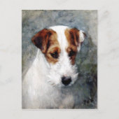 Jack Russell of Fox Terrier Briefkaart (Voorkant)