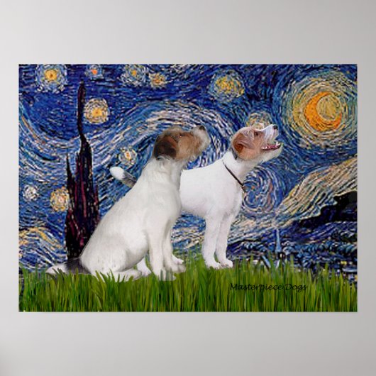 Jack Russell Paar 4 - Sterrennacht Poster (Voorkant)