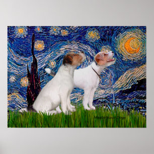 Jack Russell Pair 4 - Sterrennacht Poster