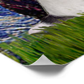 Jack Russell Pair 4 - Sterrennacht Poster (Hoek)