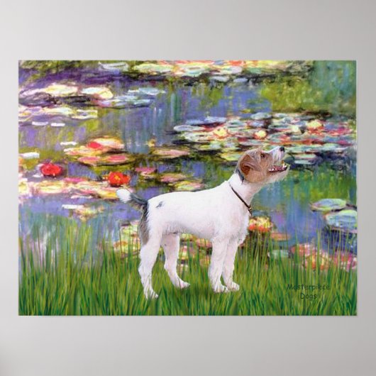 Jack Russell (Parsons Terrier) - Lilies 2 Poster (Voorkant)