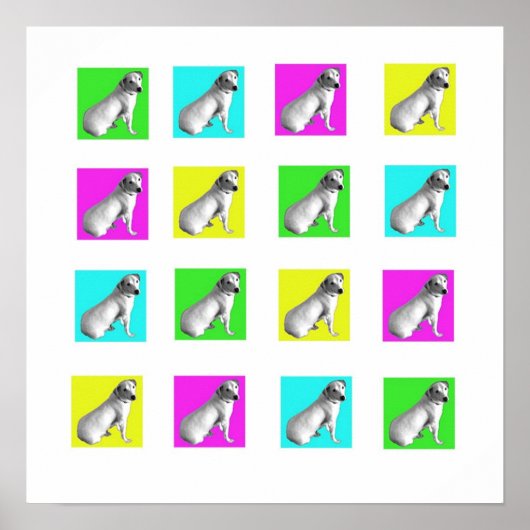 Jack Russell Pop Art Poster (Voorkant)