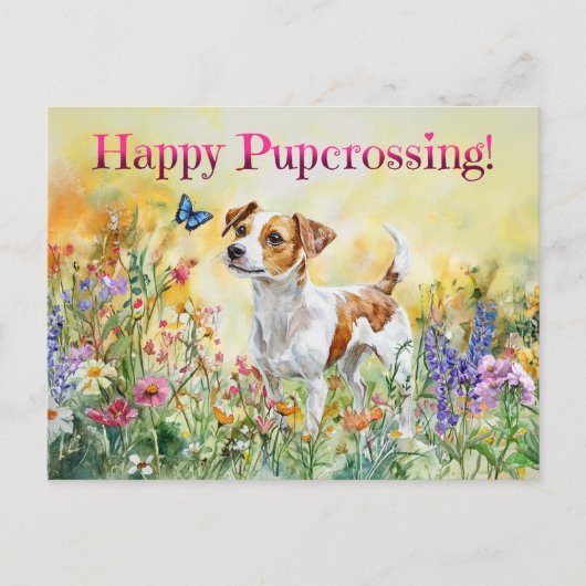 Jack Russell Postcrossing - Briefkaart (Voorkant)