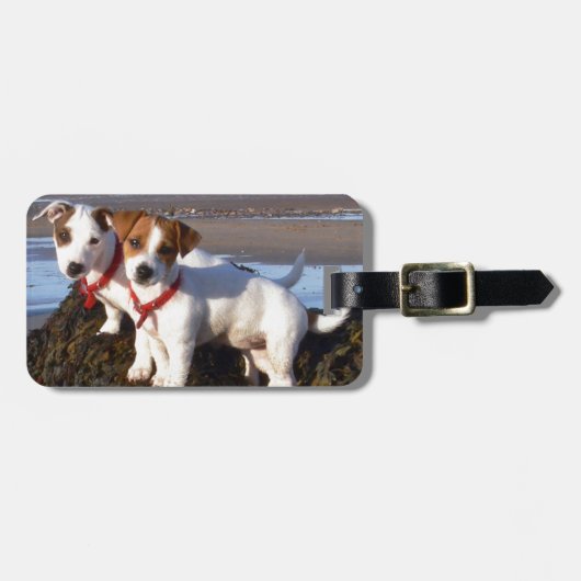 Jack Russell Puppies Bagagelabel (Voorkant horizontaal)