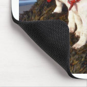 Jack Russell Puppies Muismat (Hoek)