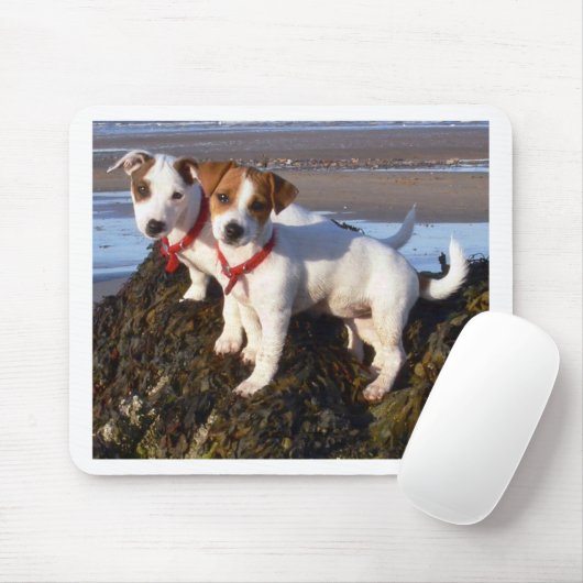 Jack Russell Puppies Muismat (Met muis)