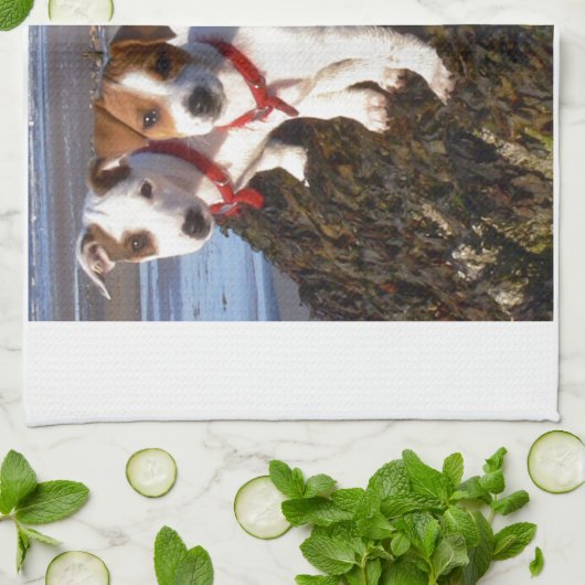 Jack Russell Puppies Theedoek (Gevouwen)