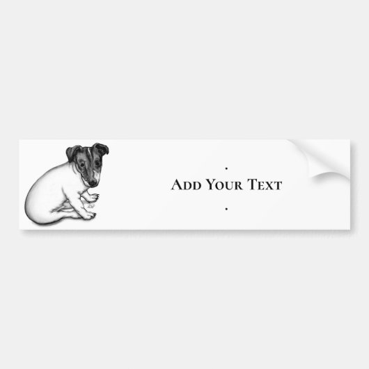 Jack Russell puppy 10 weken oud Bumpersticker (Voorkant)
