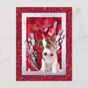 Jack Russell Puppy Be Mine Valentijn Briefkaart