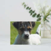 Jack Russell Puppy Briefkaart (Staand voorkant)