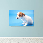 Jack Russell Puppy Canvas Afdruk (Insitu (Houten vloer))