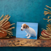 Jack Russell Puppy Fotoplaat (Zijkant)