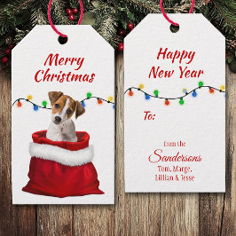 Jack Russell Puppy in Santa Bag Cadeaulabel