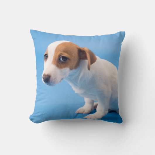 Jack Russell Puppy Kussen (Voorkant)