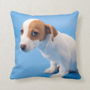 Jack Russell Puppy Kussen