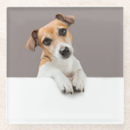 Jack Russell Puppy Lief Aardig Baby Puppy Glazen Onderzetter