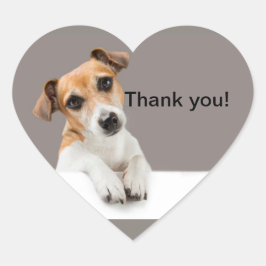 Jack Russell Puppy Lief Aardig Schattig Hart Stick Sticker