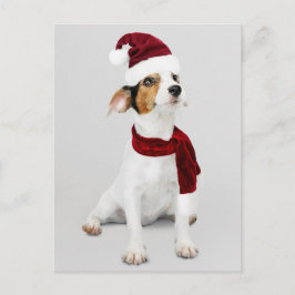 Jack Russell Puppy met kerstmuts Feestdagenkaart