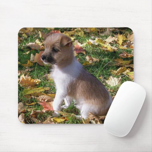 Jack Russell Puppy Muismat (Met muis)