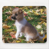 Jack Russell Puppy Muismat (Voorkant)
