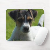Jack Russell Puppy Muismat (Met muis)