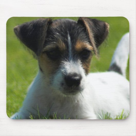 Jack Russell Puppy Muismat (Voorkant)