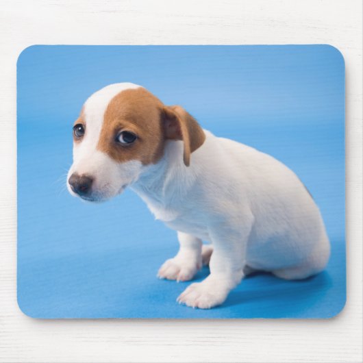 Jack Russell Puppy Muismat (Voorkant)