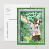 Jack Russell Puppy Nummer 1 Happy St Patricks Day Briefkaart (Voorkant / Achterkant)