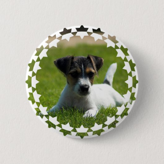 Jack Russell Puppy Round Button (Voorkant)