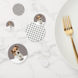 Jack Russell Puppy Schattig Aardige Baby Russell Confetti