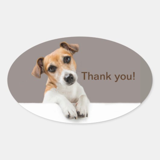 Jack Russell Puppy Schattig Adoreerbaar Dank Je Ovale Sticker (Voorkant)
