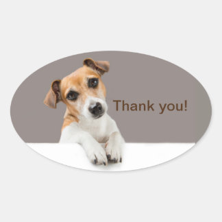 Jack Russell Puppy Schattig Gezellig Dank Je Ovale Sticker