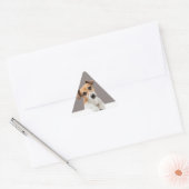 Jack Russell Puppy Sweet Cute Baby Puppy Sticker (Envelop)