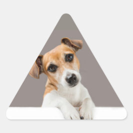 Jack Russell Puppy Sweet Cute Baby Puppy Sticker