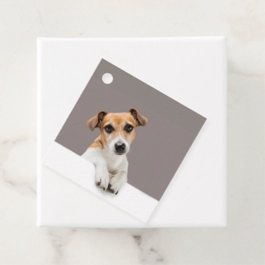 Jack Russell Puppy Sweet Schattig Baby Jack Bedankjes Labels (In situ)