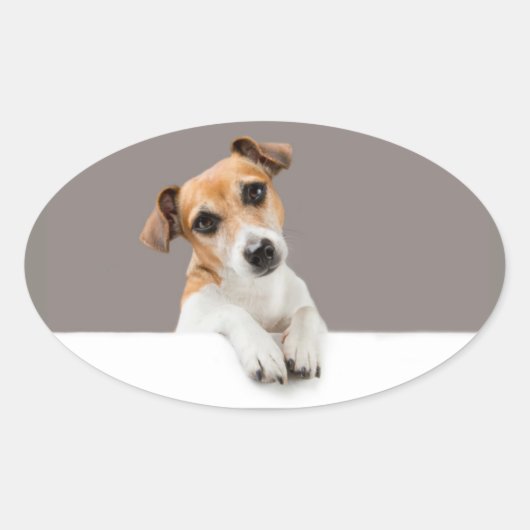 Jack Russell Puppy Sweet Schattig Baby Jack Ovale Sticker (Voorkant)