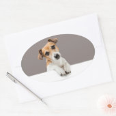 Jack Russell Puppy Sweet Schattig Baby Jack Ovale Sticker (Envelop)