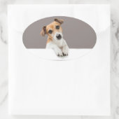 Jack Russell Puppy Sweet Schattig Baby Jack Ovale Sticker (Tas)