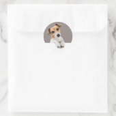 Jack Russell Puppy Sweet Schattig Baby Jack Ronde Sticker (Tas)