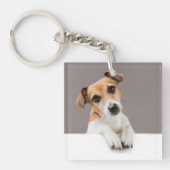 Jack Russell Puppy Sweet Schattig Baby Jack Sleutelhanger (Voorkant)