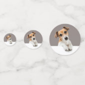 Jack Russell Puppy Sweet Schattig Baby Russell Confetti (Achterkanten)