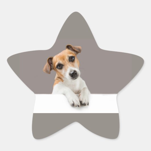 Jack Russell Puppy Sweet Schattig Baby Ster Sticker (Voorkant)