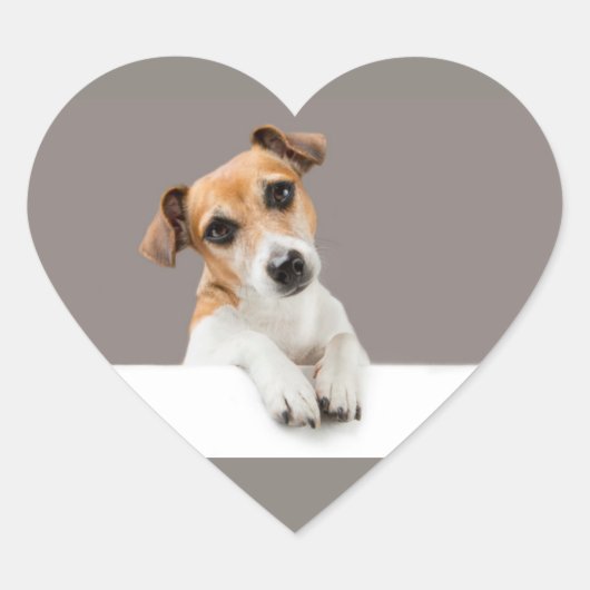 Jack Russell Puppy Sweet Schattig Cute Hart Sticker (Voorkant)